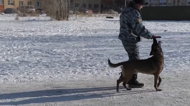 027. Подготовка к нормативному послушанию.