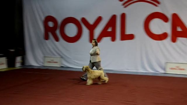 воронеж,27/10/2013,биг,маша.