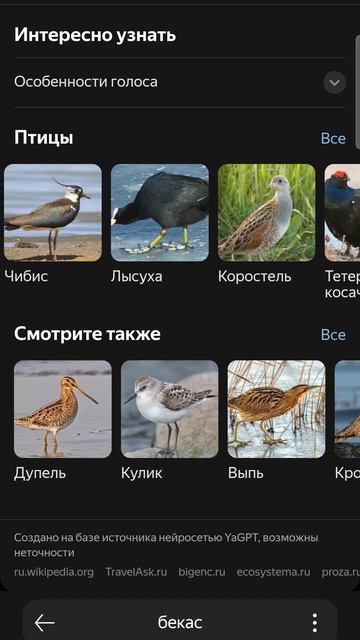 Мои друзья моё богатство