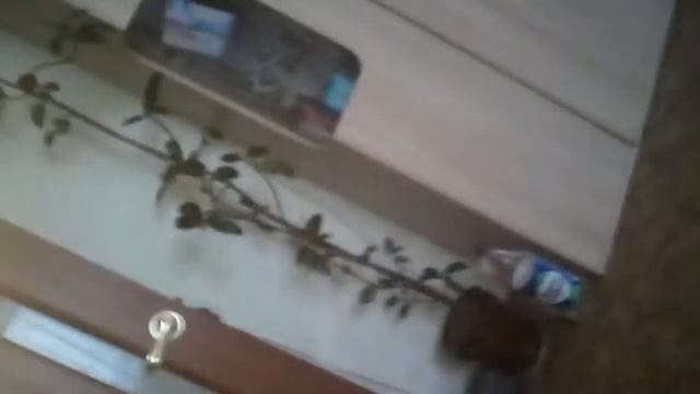 27 декабря 2017 г.