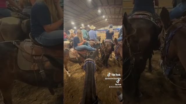 Milly Hip# 18 Jake Clark's Mule Days In Ralston, Wyoming Father's Day Weekend 2023