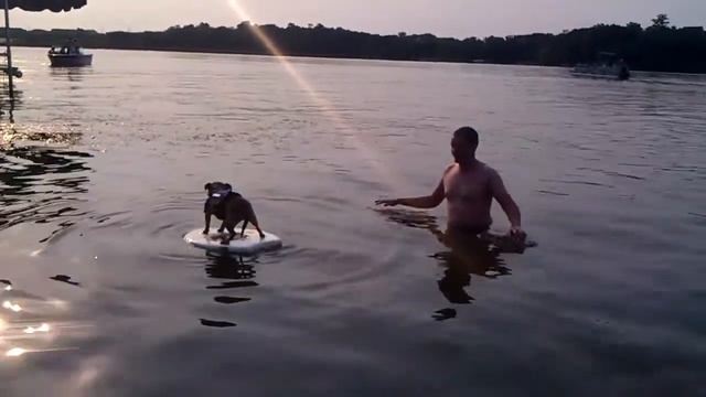 Quark Goes Surfing
