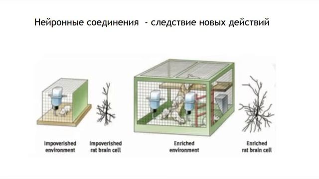 Что нужно для формирования привычки?