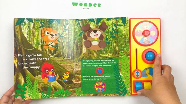 BUSY BABY BOOK: BABY EINSTEIN, BUSY WORLD