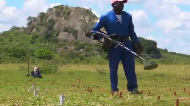 1905830187050a549e86e0b2ca6a8546