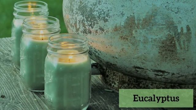 B7611b966e32848dae328023f72afb09