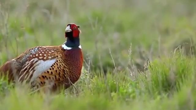 873663c14017936add11ecf8016fdd5b