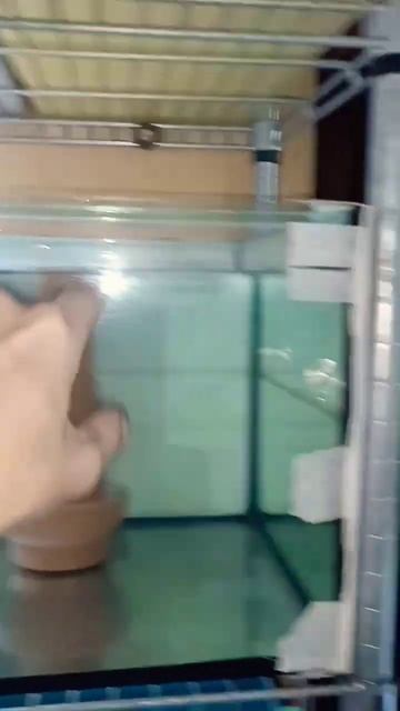 17ce03942ebc8713c7f1ddbb4612eedb