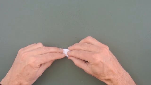 Strip Folding Fractal Curves