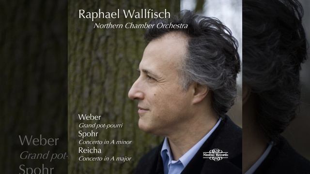 Grand Potpourri In D Major, Op. 20: II. Andante