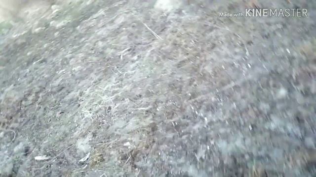 1 гривна від Влада