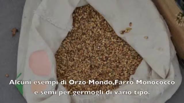 PADOVA FIORISCE - Dimostrazione 11 Gennaio 2014 