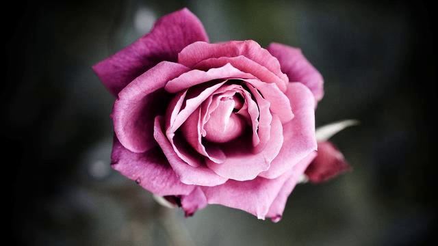 Слушать новую русскую песню и фото 2015