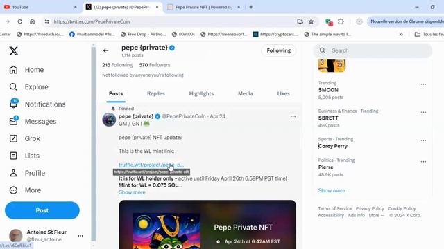 MINTER TON PEPE PRIVATE NFT MAINTENANT
