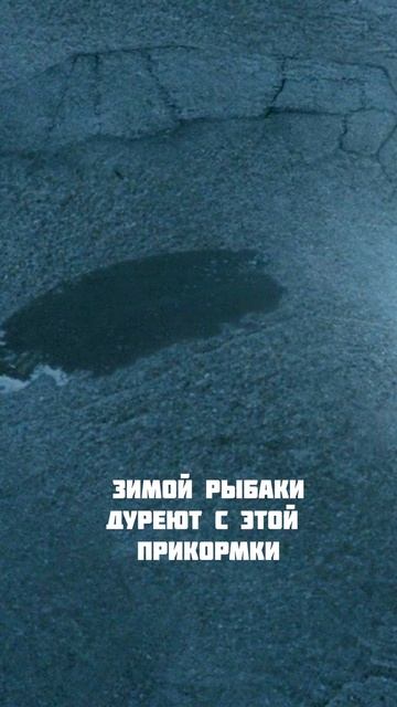 ЗИМОЙ РЫБАКИ ДУРЕЮТ С ЭТОЙ ПРИКОРМКИ