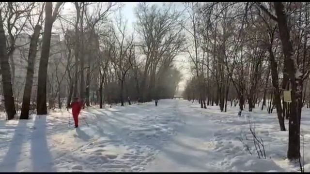 Барнаульский парк им.Ленина. Сохраним парк! Ваш лайк - поддержка сохранения парка! Перепост!