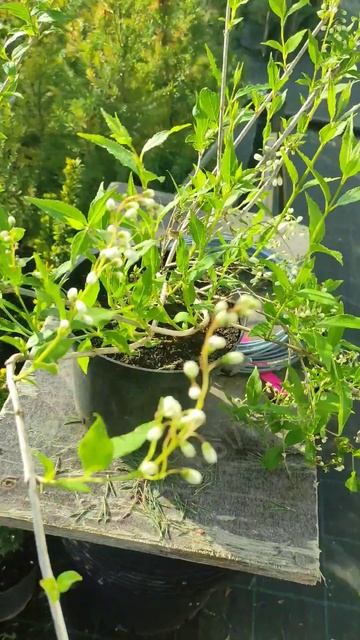 Da29d8471bc0d816a5a346b4ddbc6d10