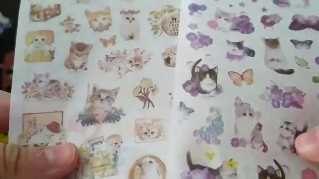 🐈Что я купила в магазине,, Kawaii Cat? ,, узнаем прямо сейчас 😻