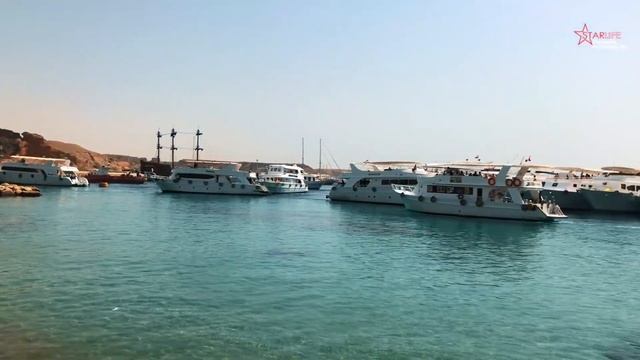 Старлайф / Starlife - обучение LS-2 (2021) - Египет / Egypt