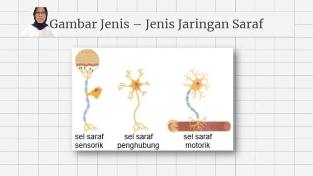 (BIOLOGI) Jaringan Saraf_Fatia Kamila