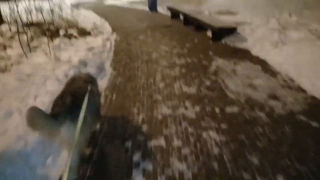 Пёс Тотоша представляет новогоднюю ярмарку Московские сезоны 2022 нашего района