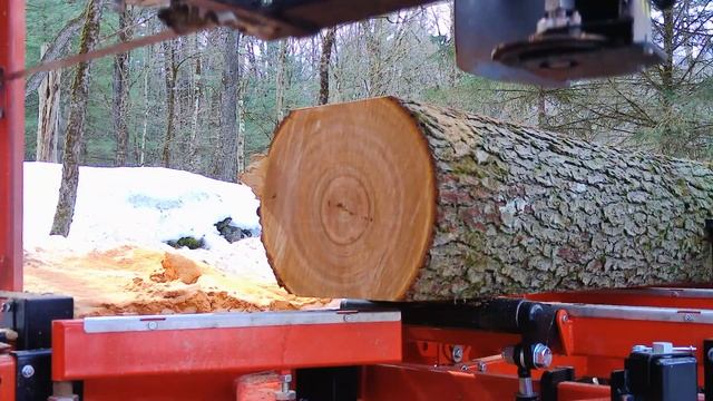 Aa7661666d0b0b9ed54d53f9b72fcf13