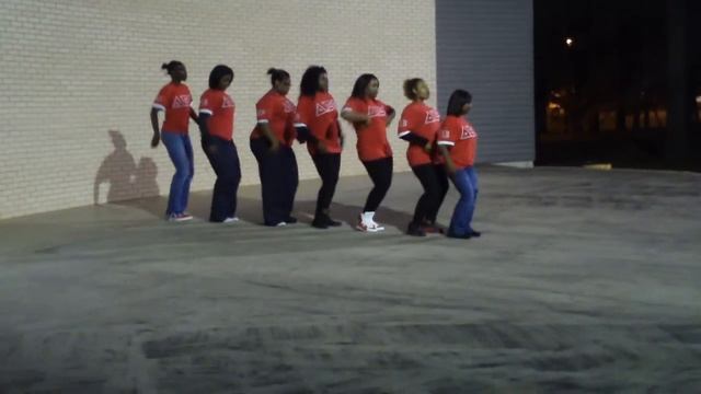 JACKSONVILLE DELTA SIGMA THETA FALL 09 STROLL OFF