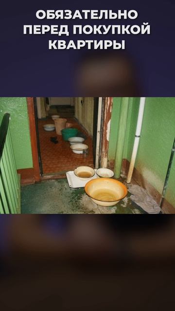 Вступи в чат дома перед покупкой квартиры