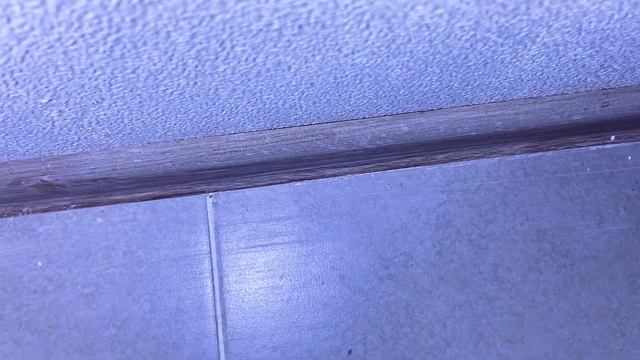 ЖК НОВАЯ РИГА от застройщика ГРАНЕЛЬ / приемка квартир с отделкой / Новостройки Москвы / НОПРИЗ