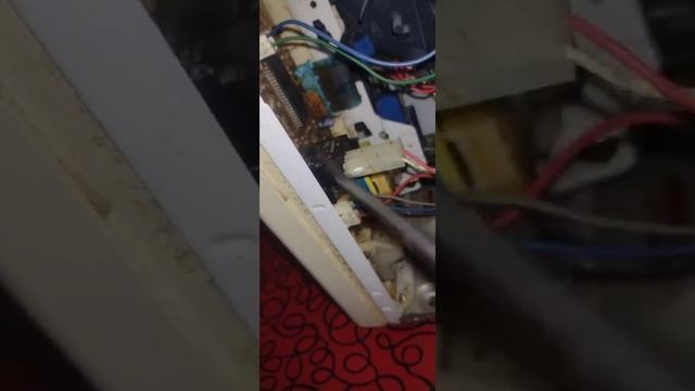 Componentes Del Microondas Y Para Que Sirven