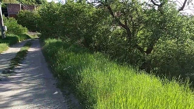 Тера Булгари / парцел в град Перник, кв. Мошино, улица 