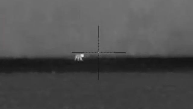 Fox Hunting With Pulsar Thermion 2 Xp50 Pro