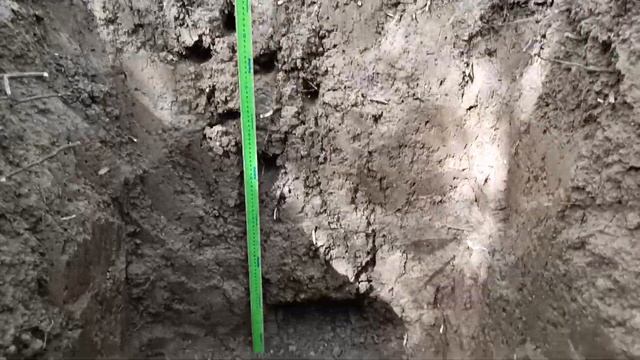 Smart Pulse - hybrid metal detector