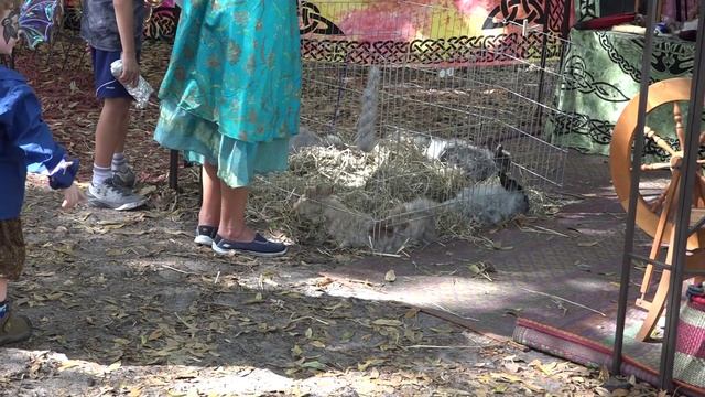 Ретро ярмарка во Флориде