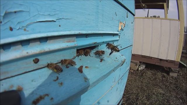 Fa072d6d4b75d0501ad6d5670370b3cb