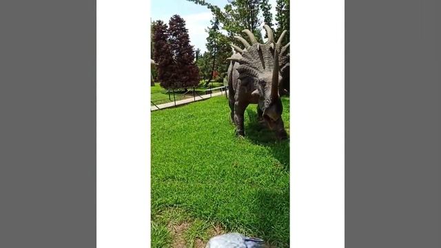 Динопарк Адлер курорт
