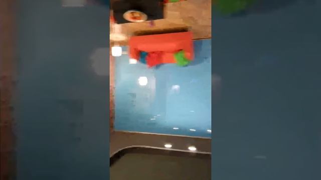 21 января 2017 г.