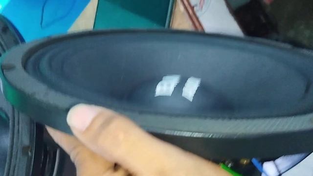 12/600 Watt BM Audio Speaker Testing With CA20