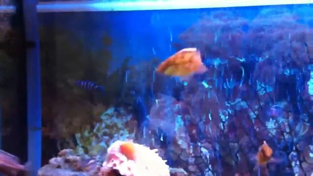 78c52a961b20692299aad87d17c0c2da