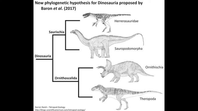 CAW Dinosaur Discussion Ep. 81: - The Great Dinosauria Redraw