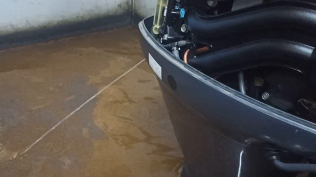 запуск мотора Yamaha F60, 2008 год, 420 моточасов