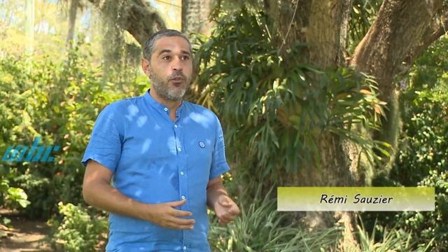 Mon Jardin Ma Maison - Le Nénuphar