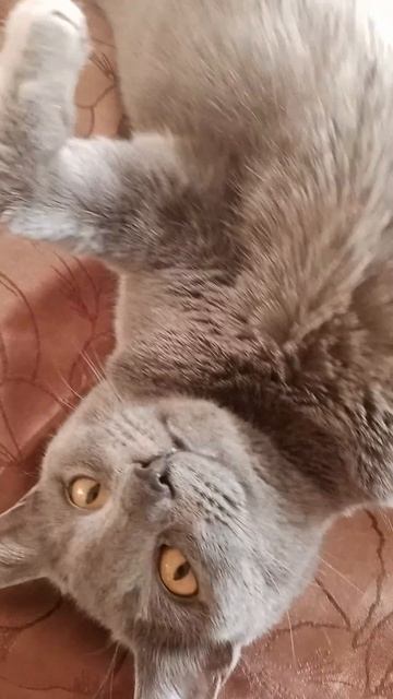 Я и медитация