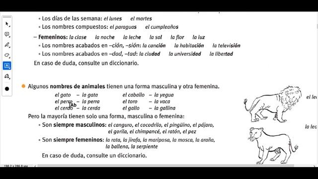Урок 2 Мужской род и женский род в испанском языке