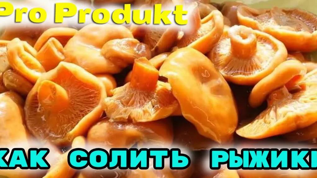 Как солить рыжики на зиму холодным способом