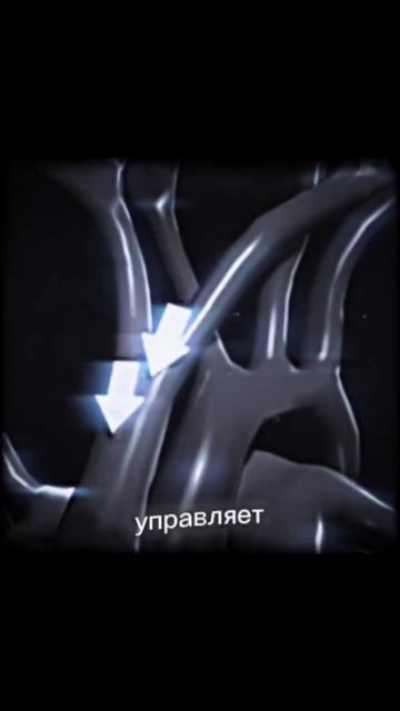 Ca53988cc2170af5c3ae45b9072ffe0e