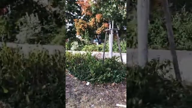 Русский криминальный район Берлина, бомжи, алкаши, засранцы