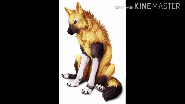 Какой ты волк воители по имени! Часть 1