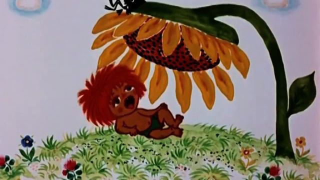 Ответ ЕРЦ .mpg