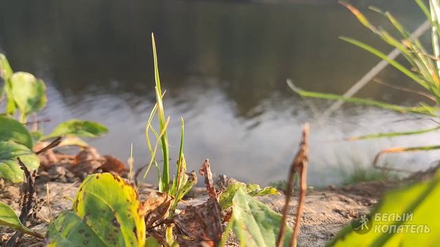 Поисковые грабли! Пробую новый вид поиска золота